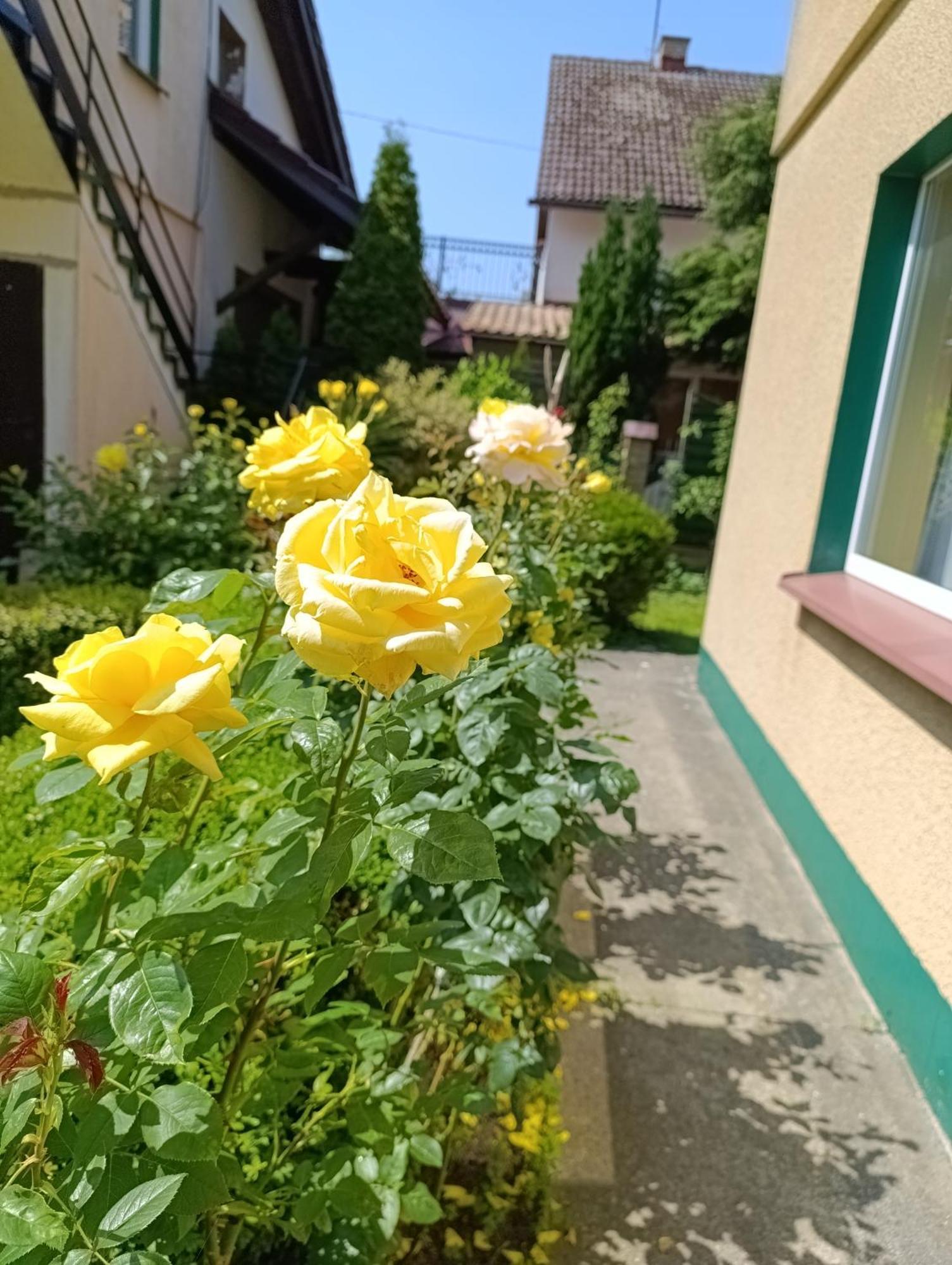 Hotel Mietowa Przystan Mielno  Exterior foto